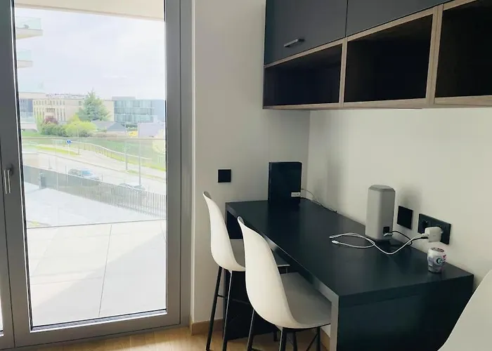 Luxury 2023 Flat In Center With Terrace & Parking- Cd4 לוקסמבורג